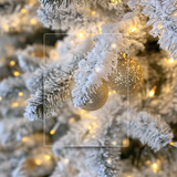 ACRYLIC - HANGING POLAROID - CLEAR