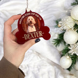 ACRYLIC - DOG BONE BAUBLE - DEEP RED
