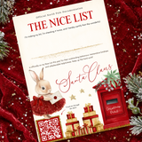 PRINTED RANGE - A4 NICE LIST CERTIFICATE - ENVELOPE BUNNY