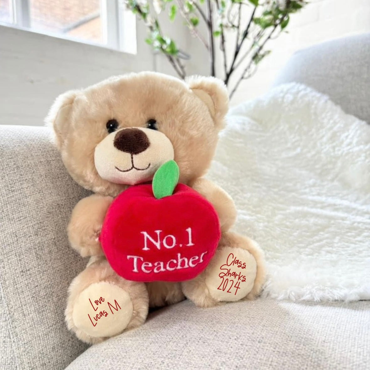 SET OF 5 TEACHER TEDDIES