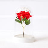 VALENTINES DAY - LED ROSE CLOCHE