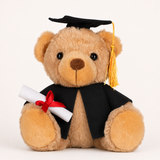 GRADUATION TEDDY WITH CAPE